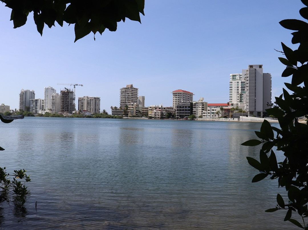 Laguna del Condado-圣胡安必去景点