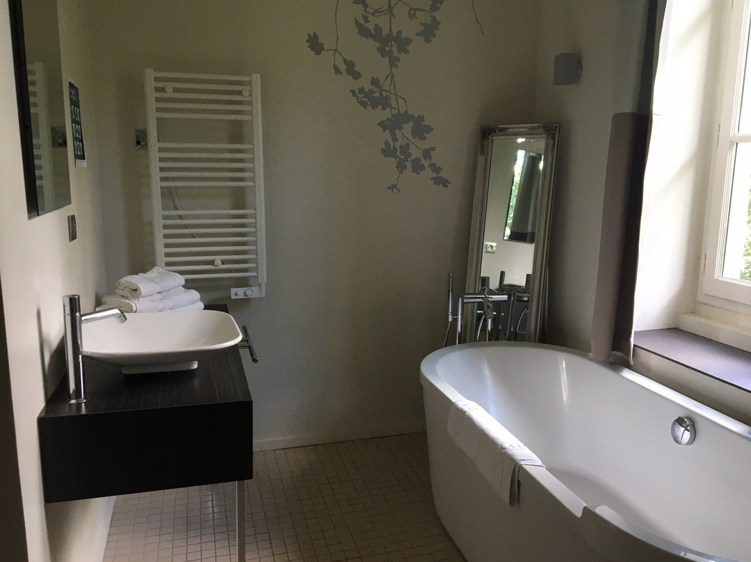 Hôtel Château De Lacan主图