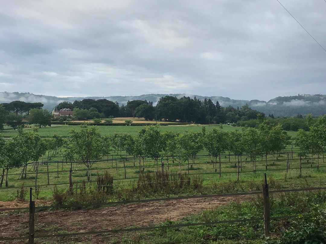 La Ferme Fleurie主图