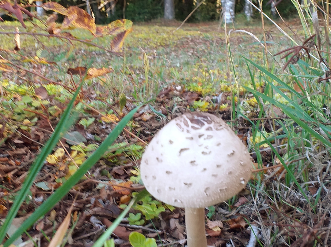 Parque Kulatrayken-普孔必去景点