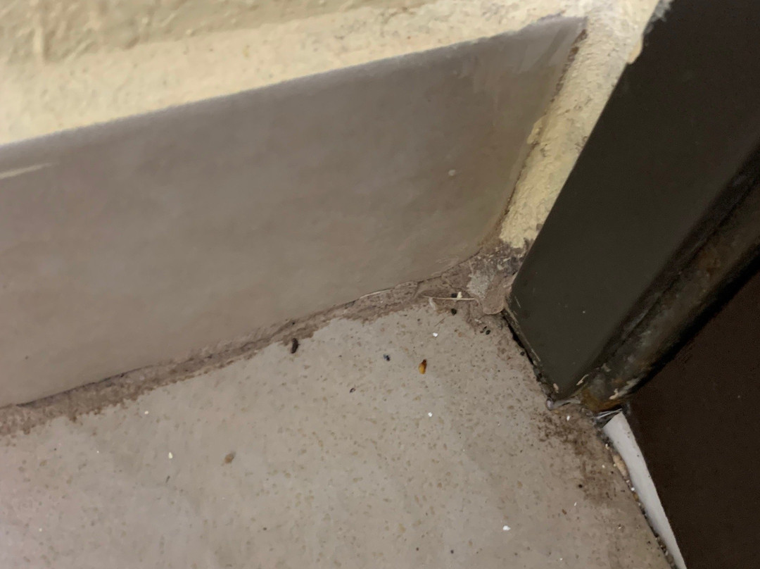 Days Inn by Wyndham Carthage主图