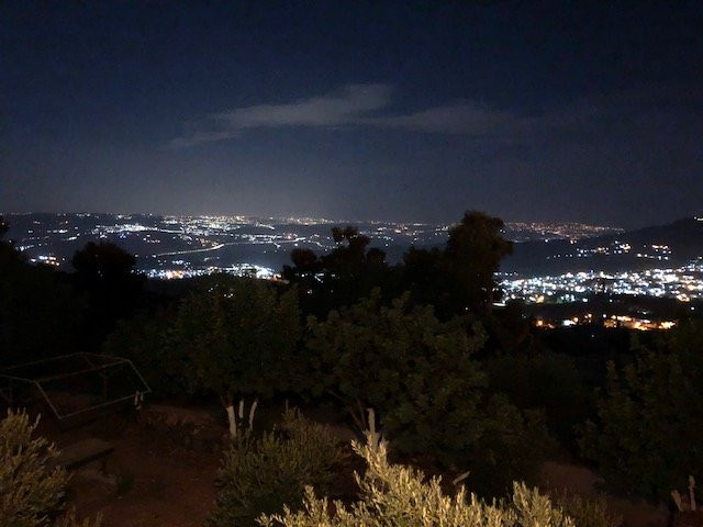 橄榄枝酒店主图