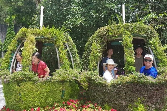 Hoi An Tourism Yoga & Healing Local Tours-会安必去景点