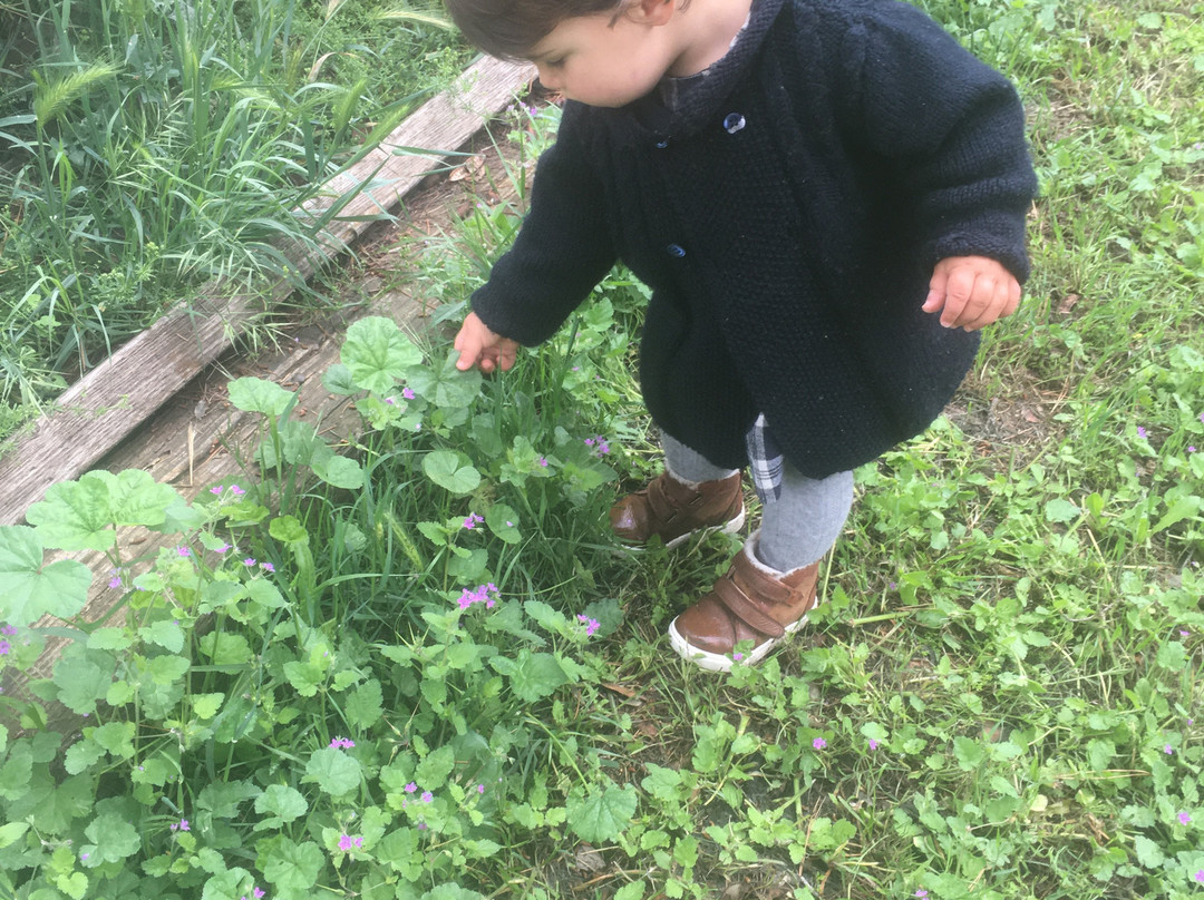 Domaine de Selhac a Frontignan主图