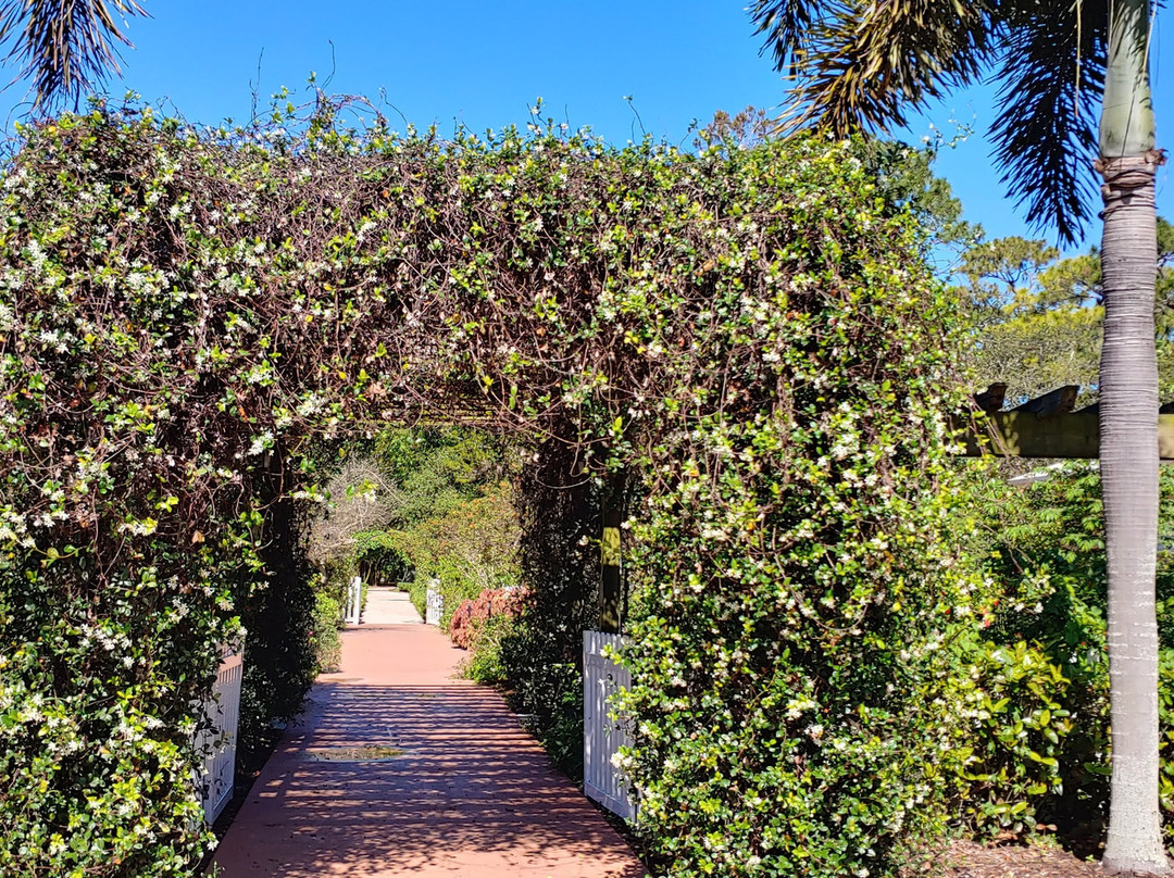 Port St Lucie Botanical Gardens-圣露西港必去景点