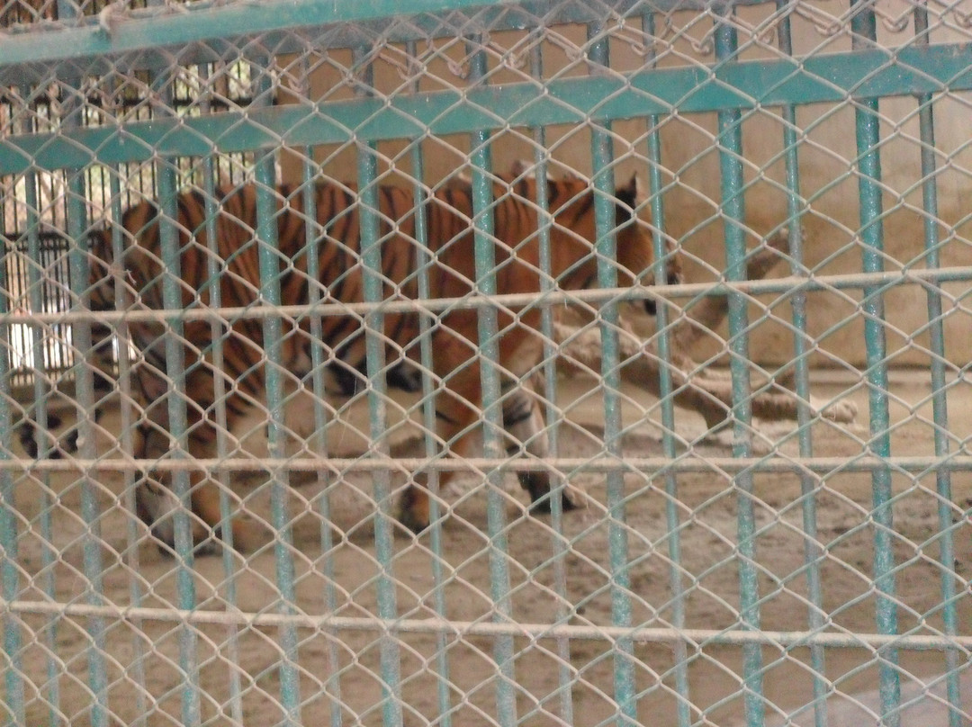 Dhaka Zoo-达卡市必去景点
