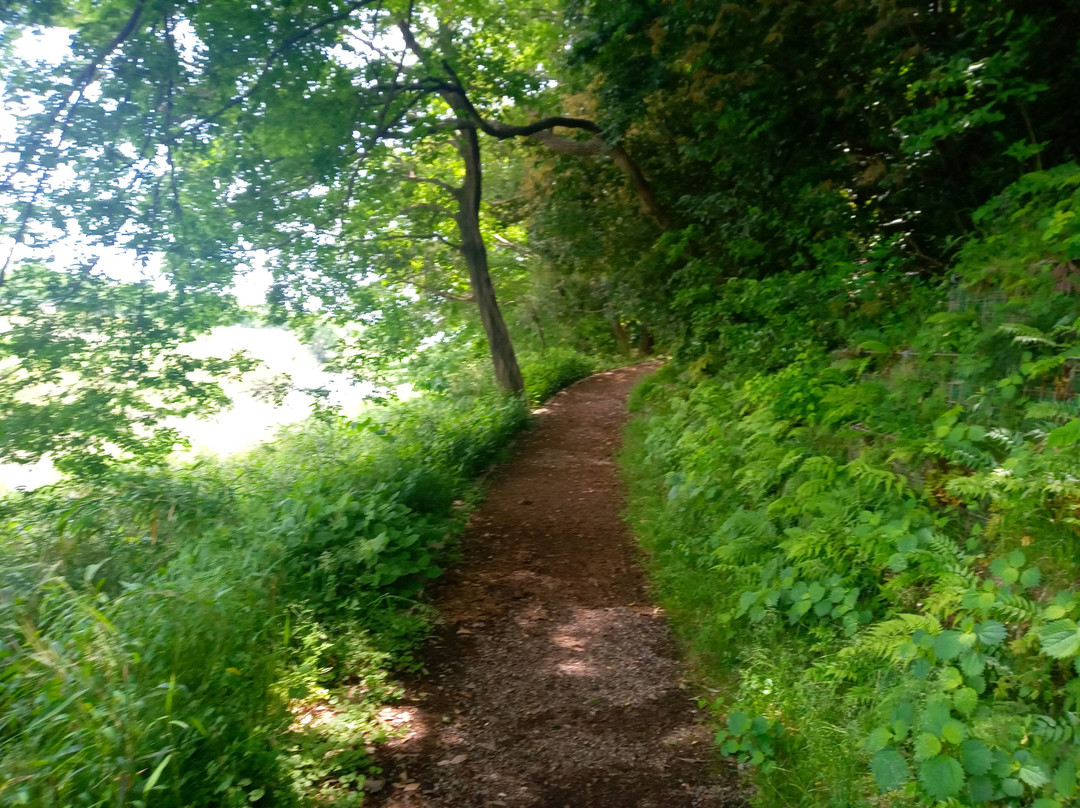 Shingashikawa Furusatono Mori-富士见野市必去景点