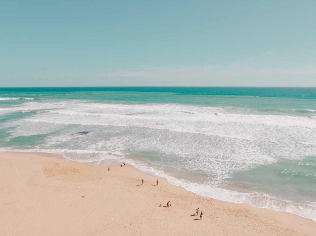 Mikumi–Selous Safari from Dar es Salaam 2026: Complete Guide by Rede Tours and Safaris