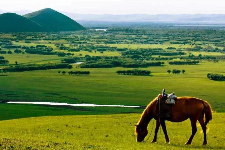Private Tour Guide-呼伦贝尔市必去景点