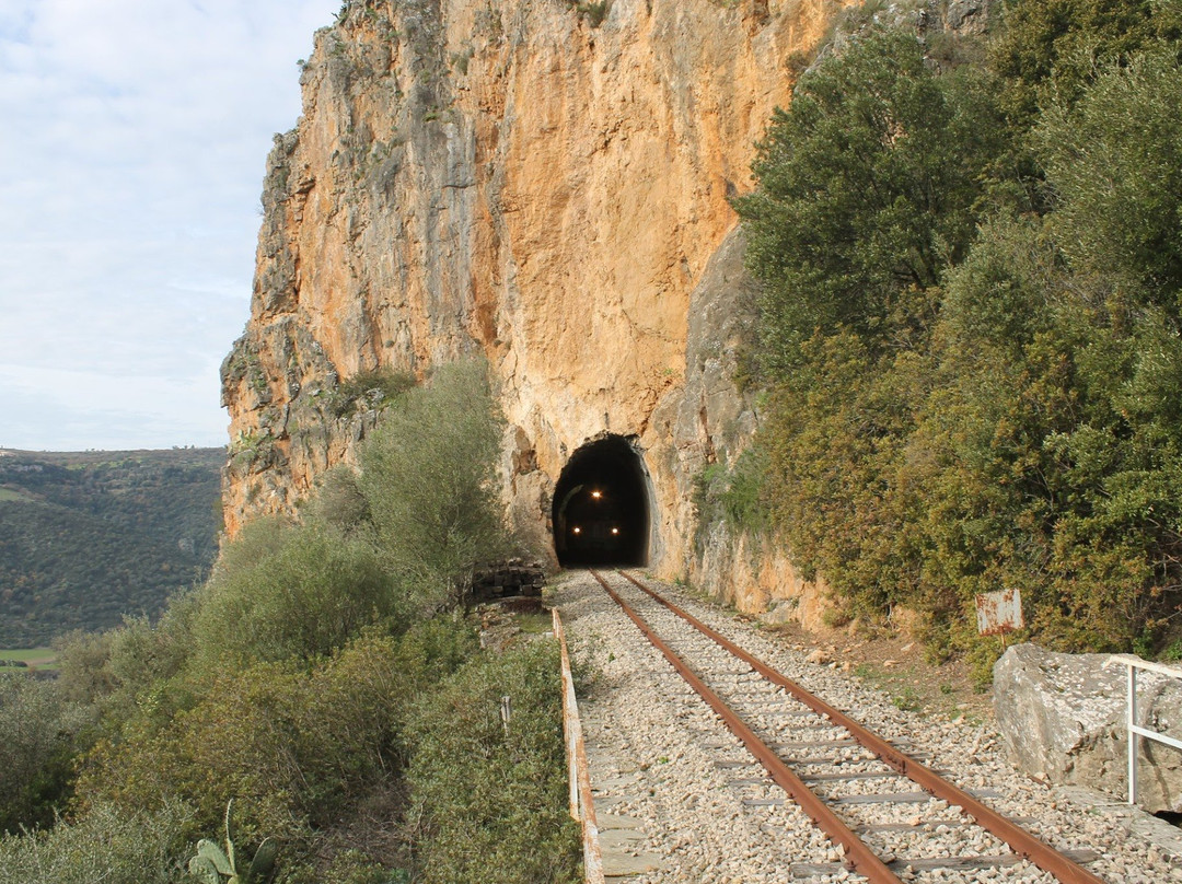 Trenino Verde Barbagia Express景点图片