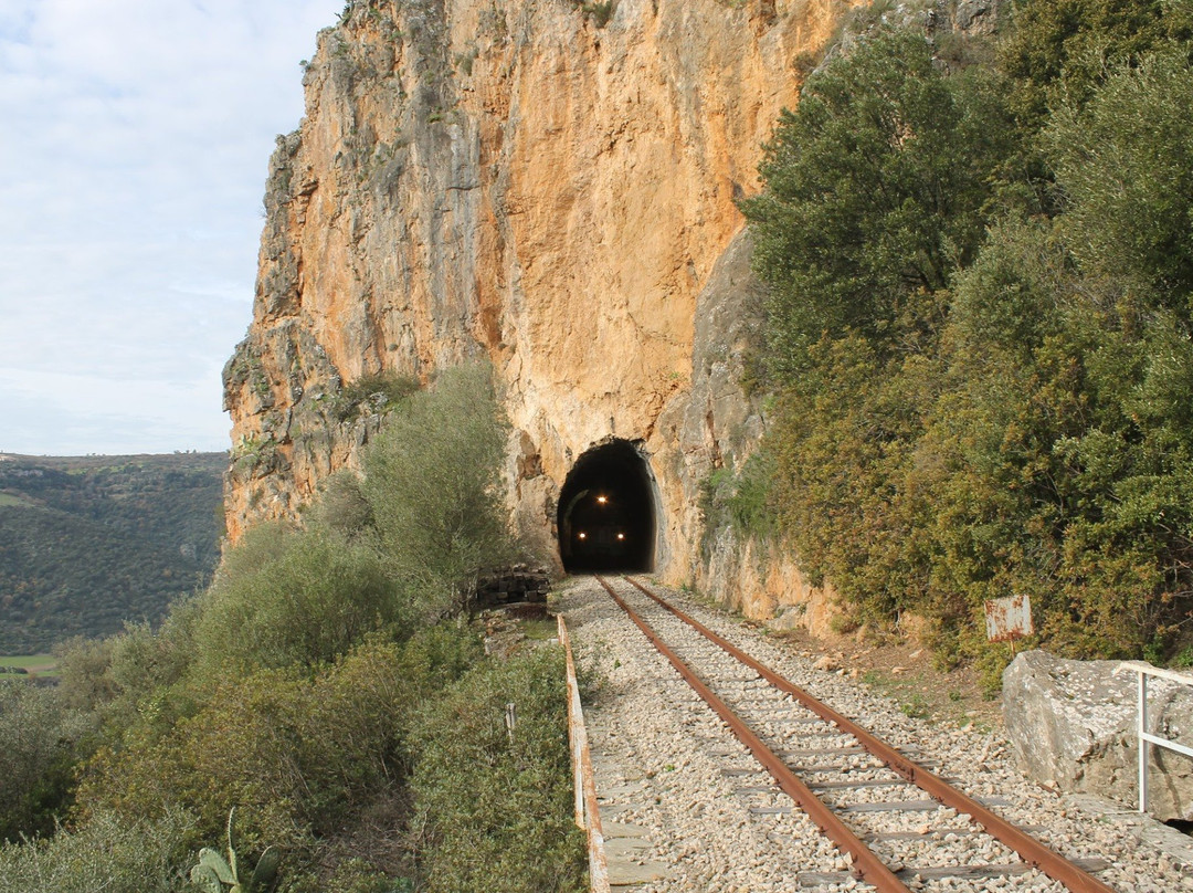 Trenino Verde Barbagia Express-Mandas必去景点