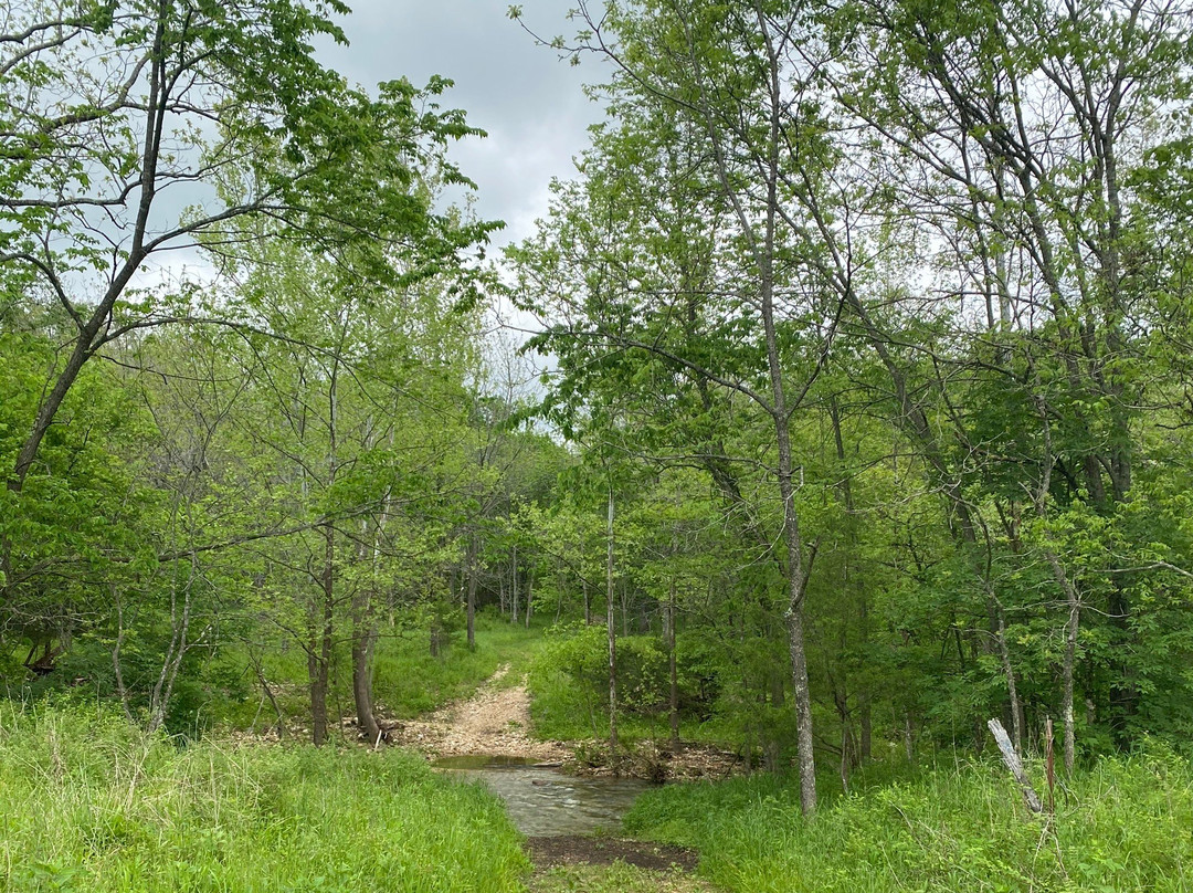 Bennett Spring State Park景点图片