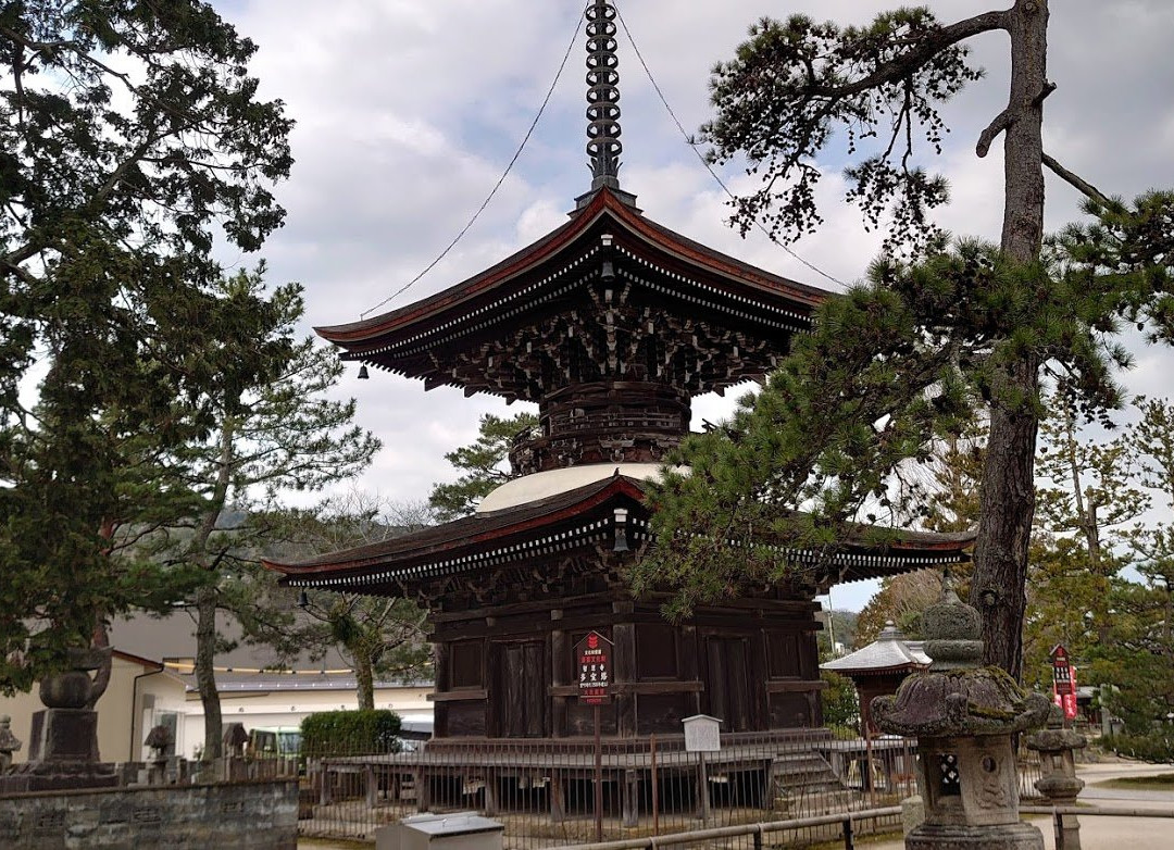 Chion-ji Temple Tahoto-宫津市必去景点