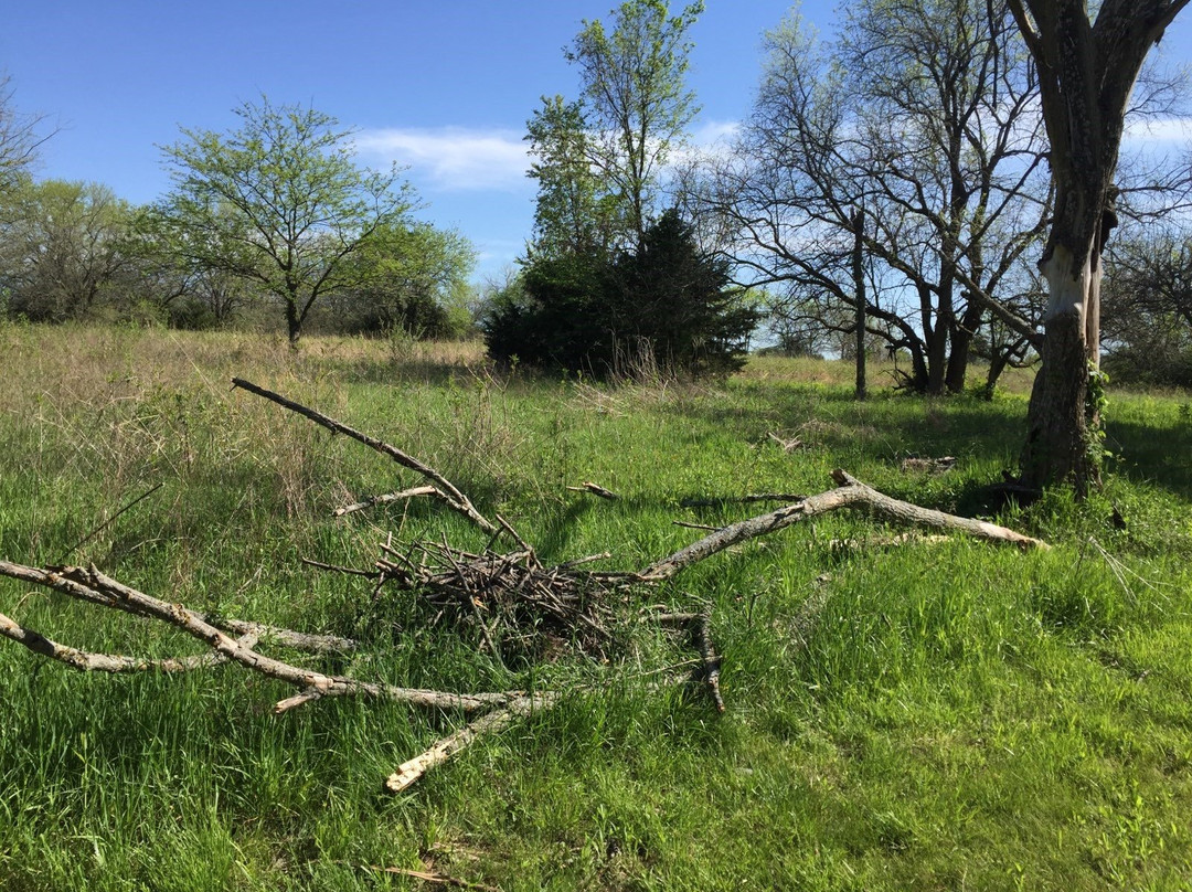 Sunflower Nature Park-De Soto必去景点