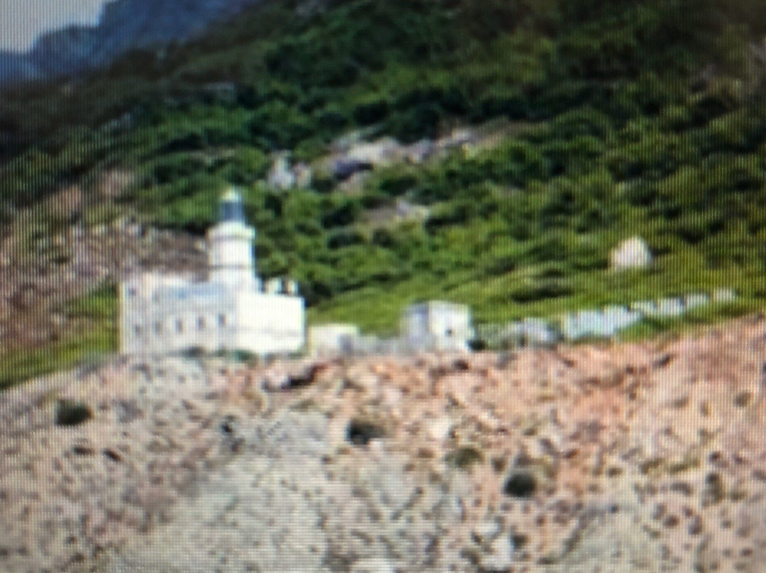 Faro di Punta Libeccio景点图片