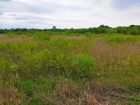 Binnuma Nature Park-富士见市必去景点