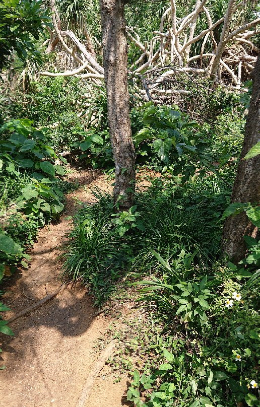 Sankakuten-Miyako-jima必去景点