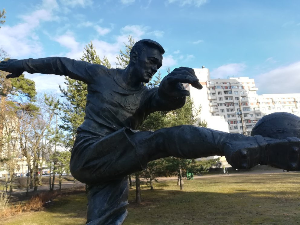 Monument to Vsevolod Bobrov景点图片