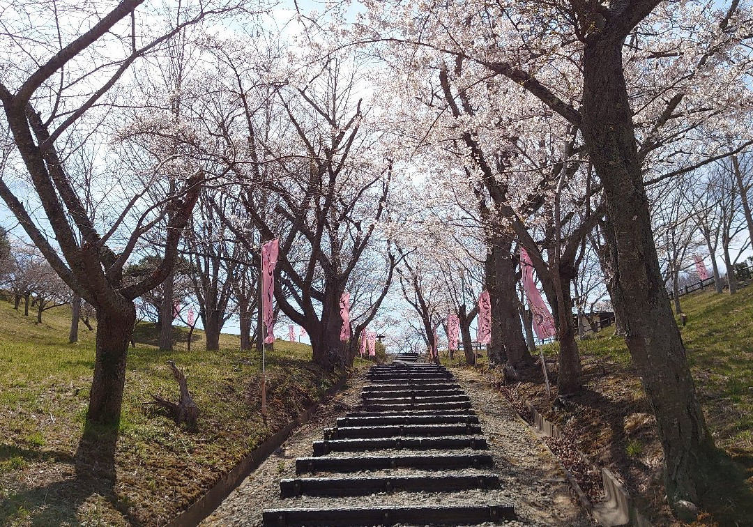 Takiyama Park-东松岛市必去景点