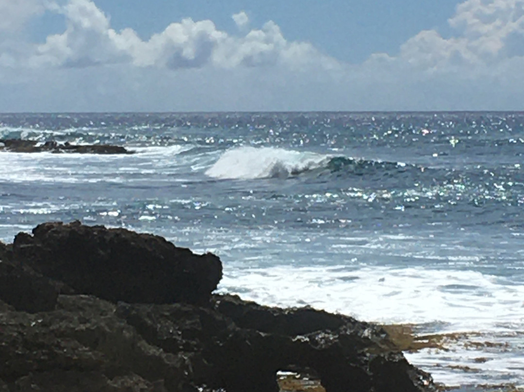 玛卡哈海滨公园-怀厄奈必去景点