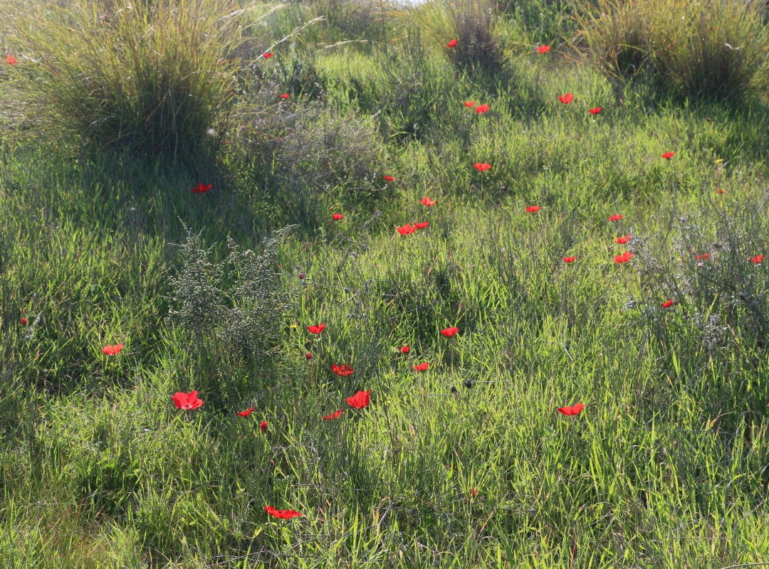 Pura Nature Reserve