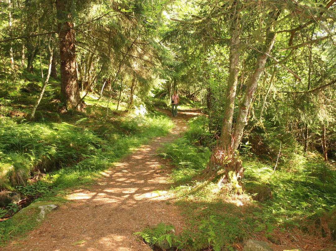 Nature Trail Kreklingen-Balestrand必去景点