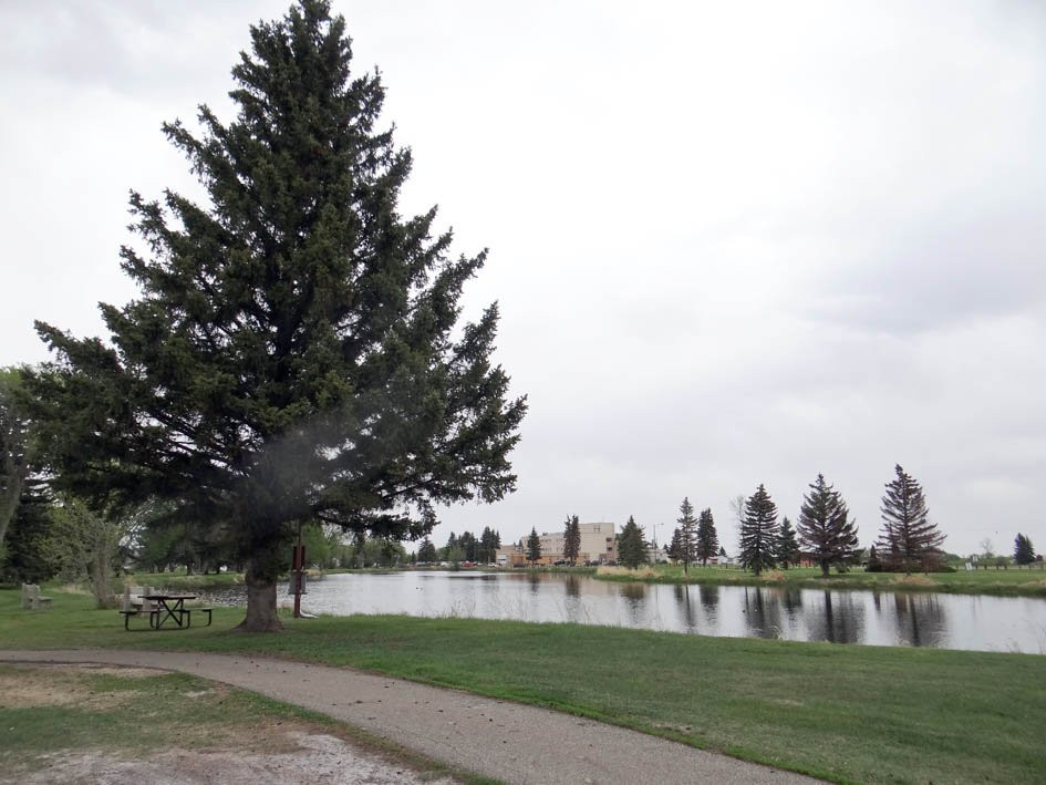 Vegreville Elks Park and Fish Pond-韦格勒维尔必去景点