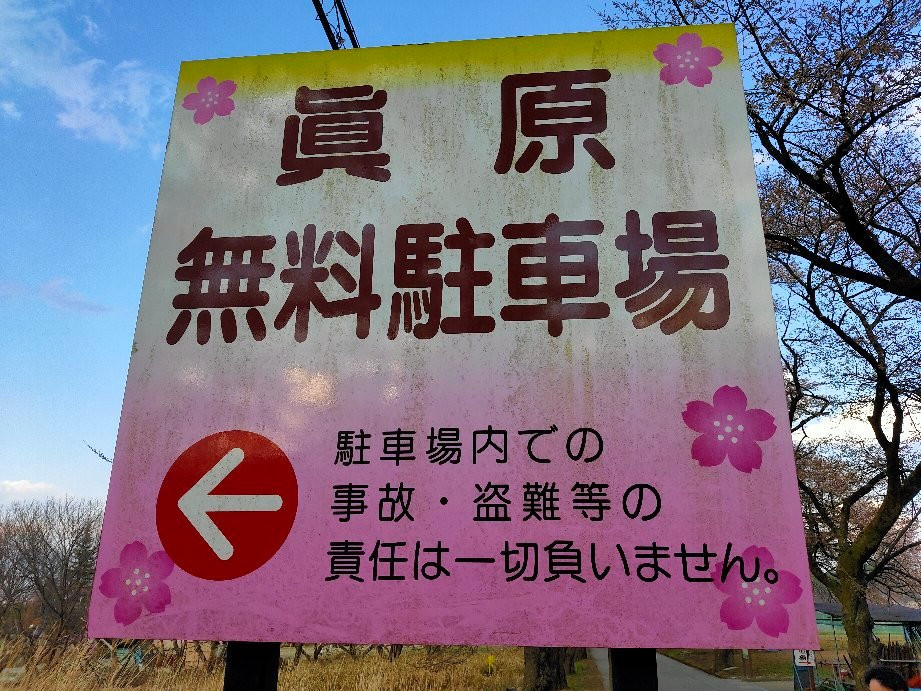 Sanehara Sakura Street景点图片
