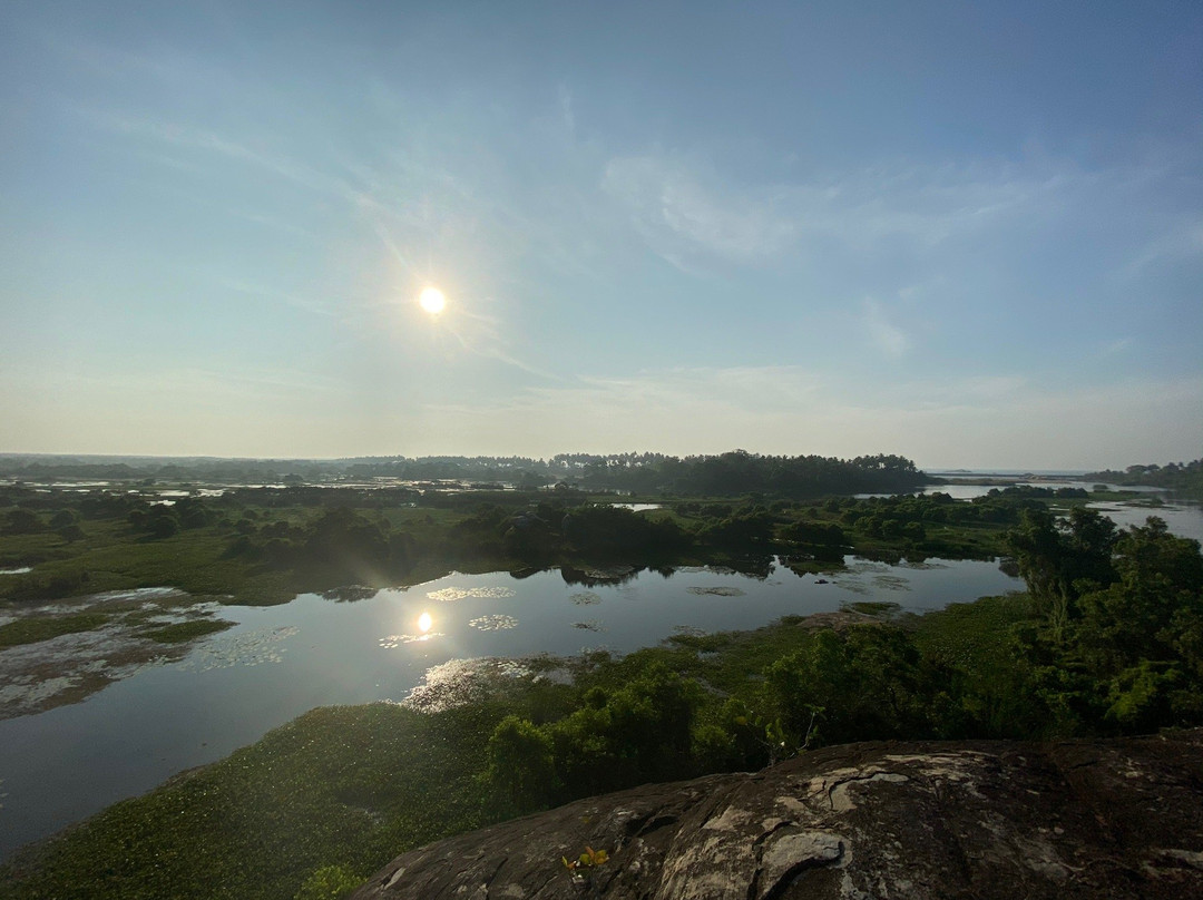 Kalametiya Eco Bird Watching景点图片