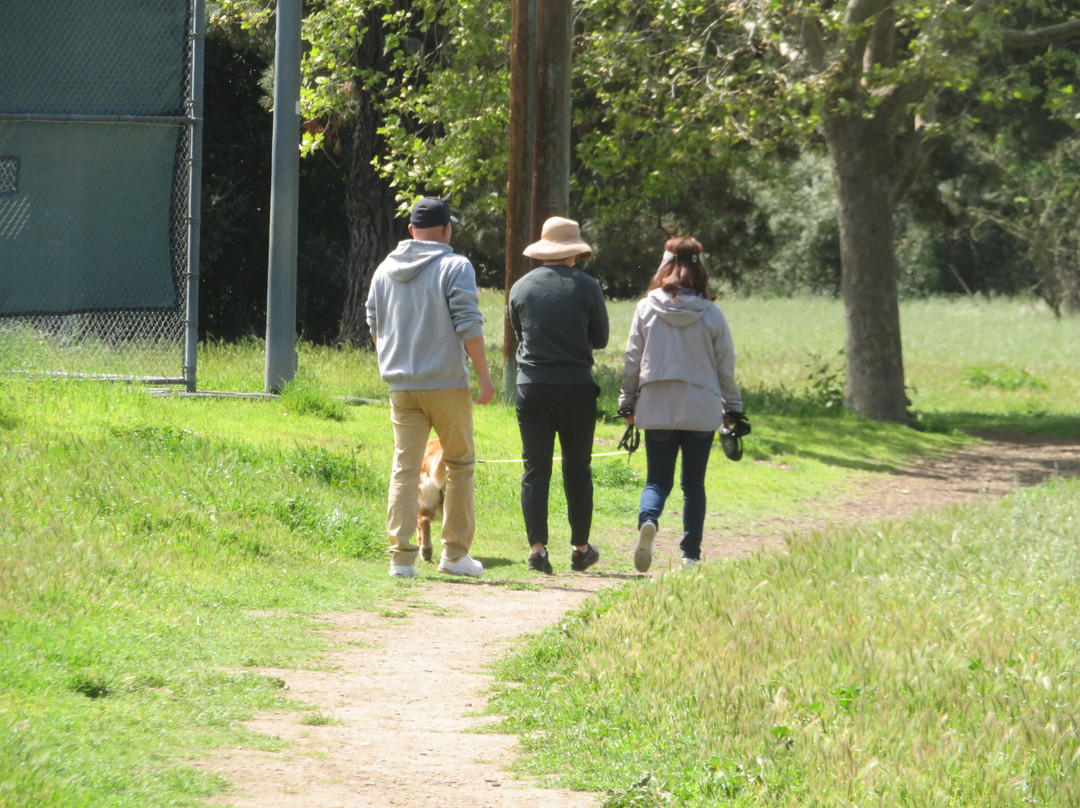 Cuesta Park-山景城必去景点