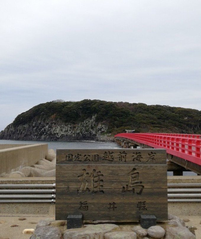 Oshima Island景点图片