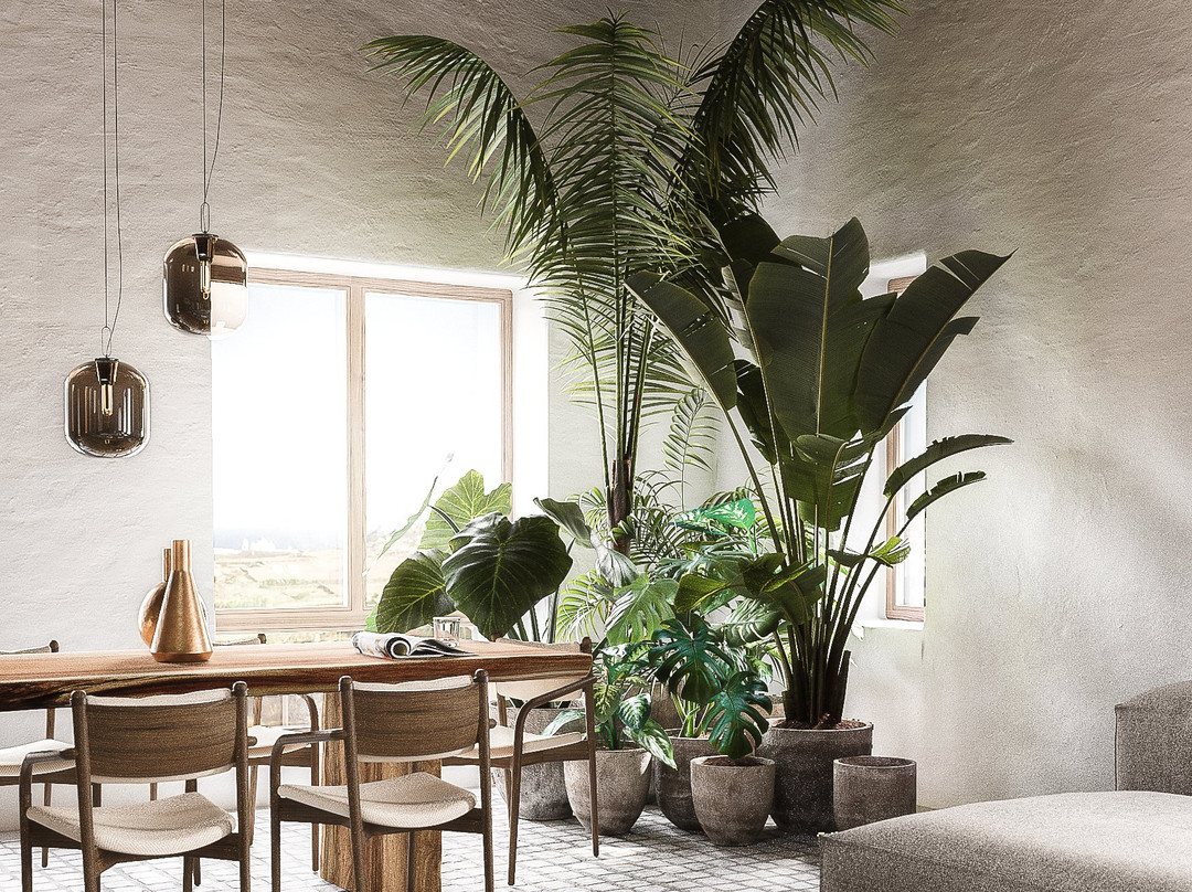 Charisma Hotel and Wellness Suites主图