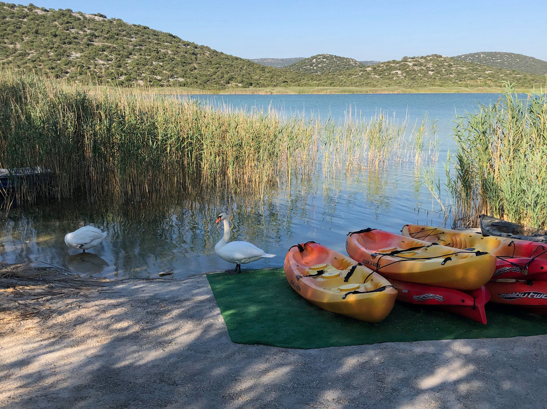 Vrana Lake Nature Park景点图片