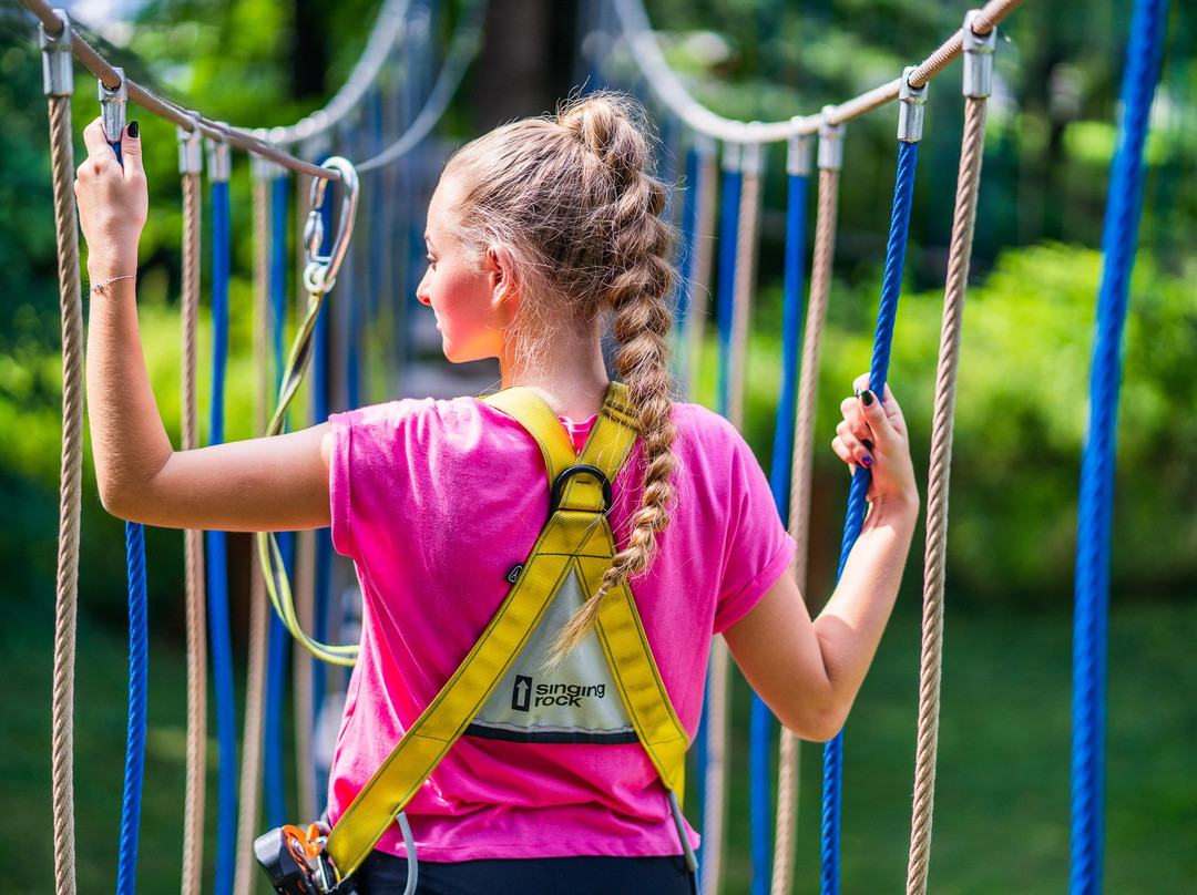 Park W DECHE-别尔斯克-比亚瓦必去景点