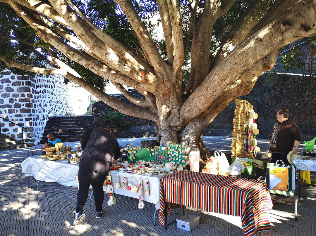 Tenerife Stars-特纳里夫必去景点