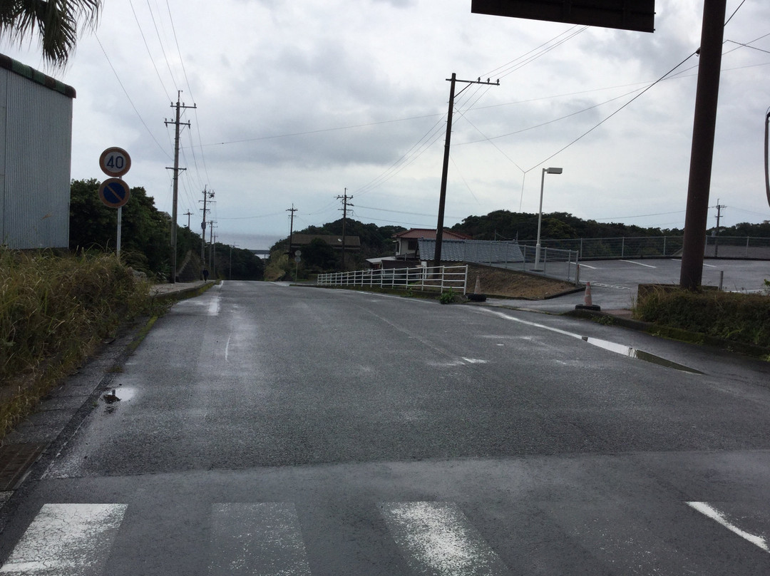 Yakusugi Takeda景点图片