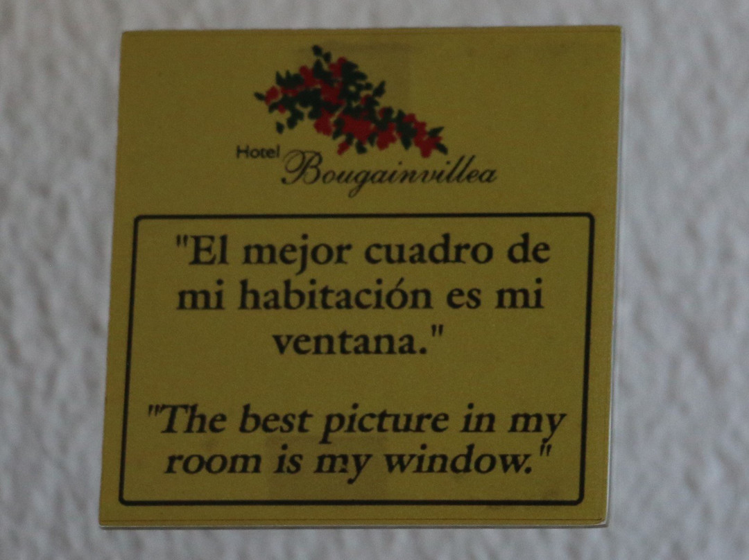 Hotel Bougainvillea主图