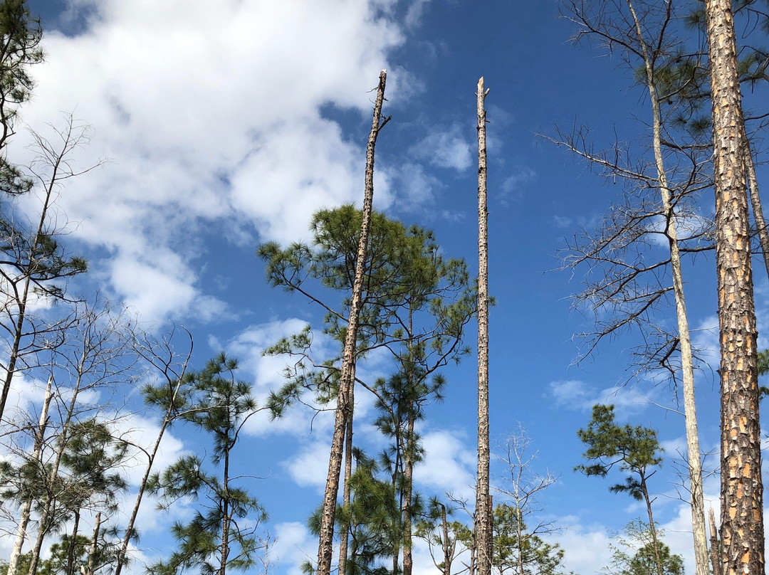 Serenity Walk Park-Naples Park必去景点