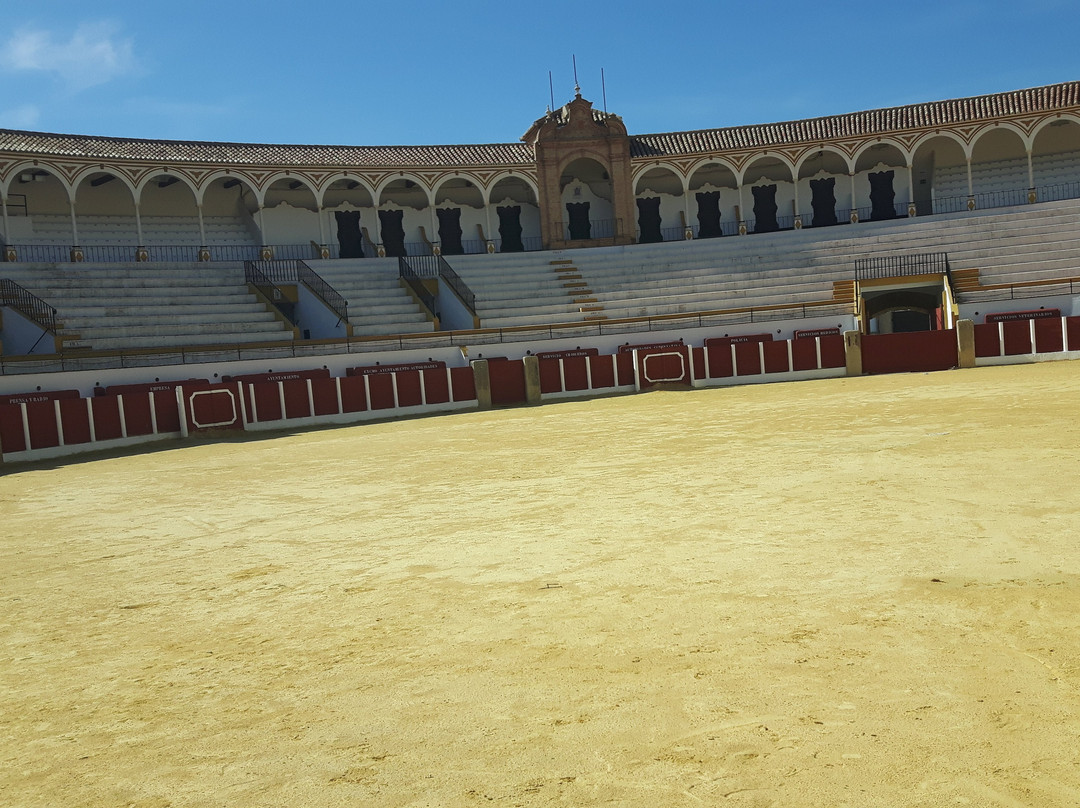 Bullfighting Museum景点图片