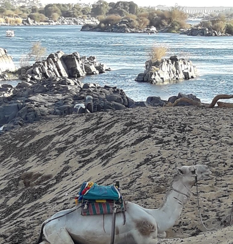 Sehel Island-亚斯文必去景点