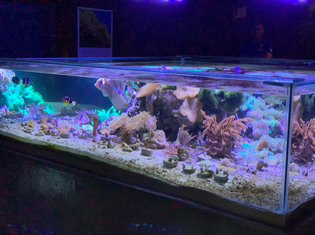 Marine Ecology Research Centre景点图片