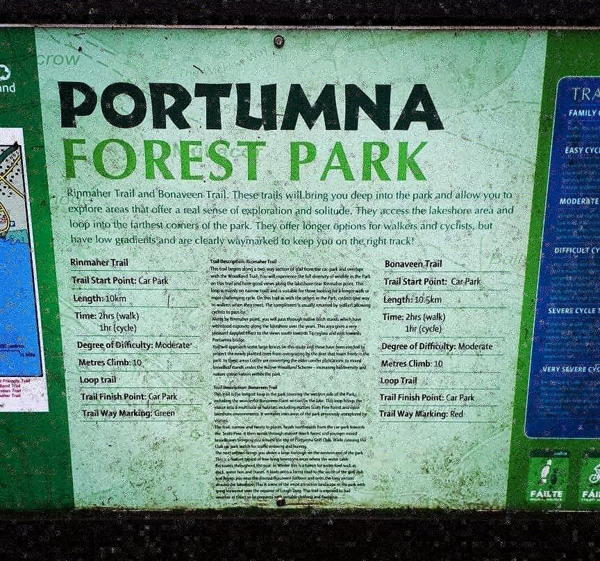 Portumna Forest Park-Portumna必去景点