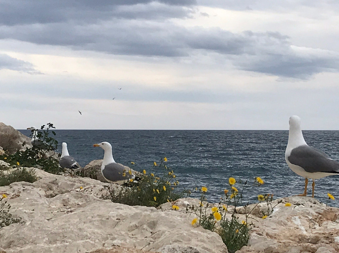 Cala De Calpe景点图片