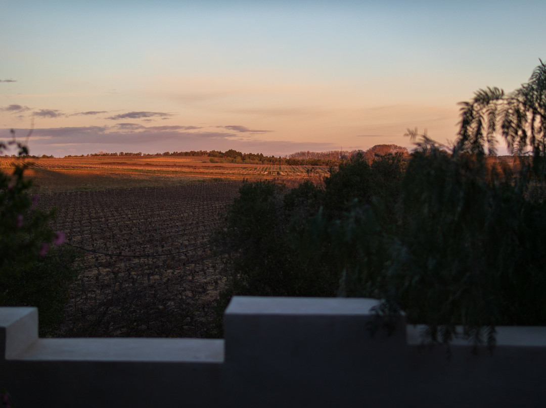 Domaine Tarbouriech主图