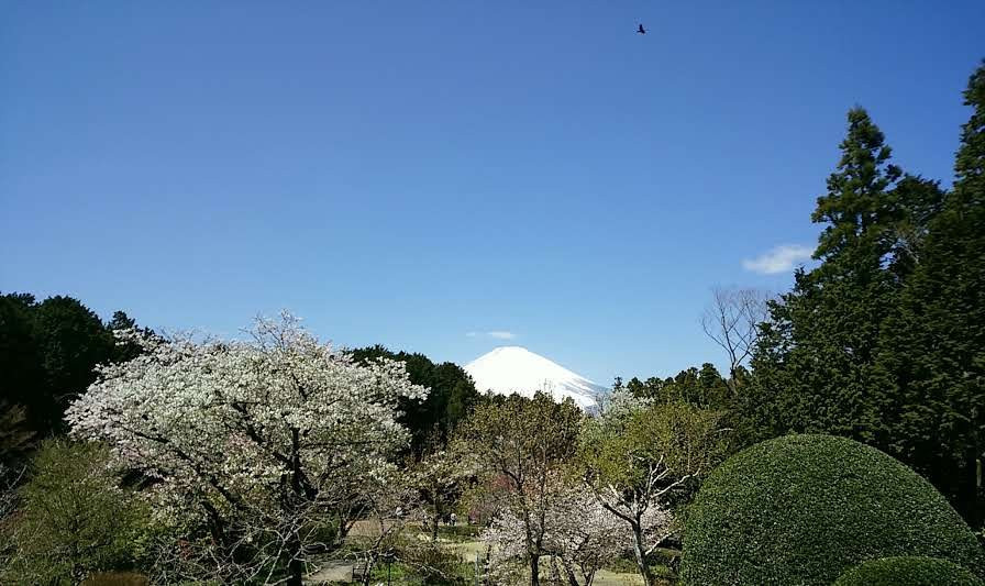 Chichibunomiya Memorial Park景点图片