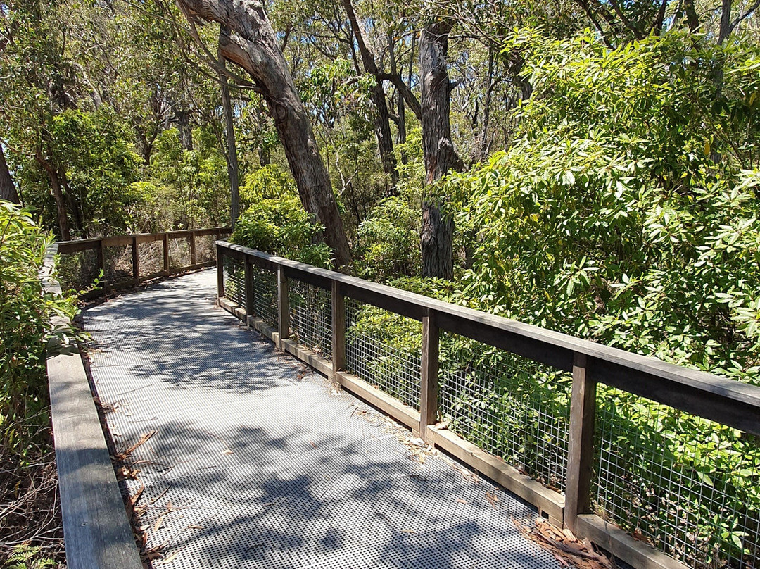 Snowy River Estuary Walk景点图片