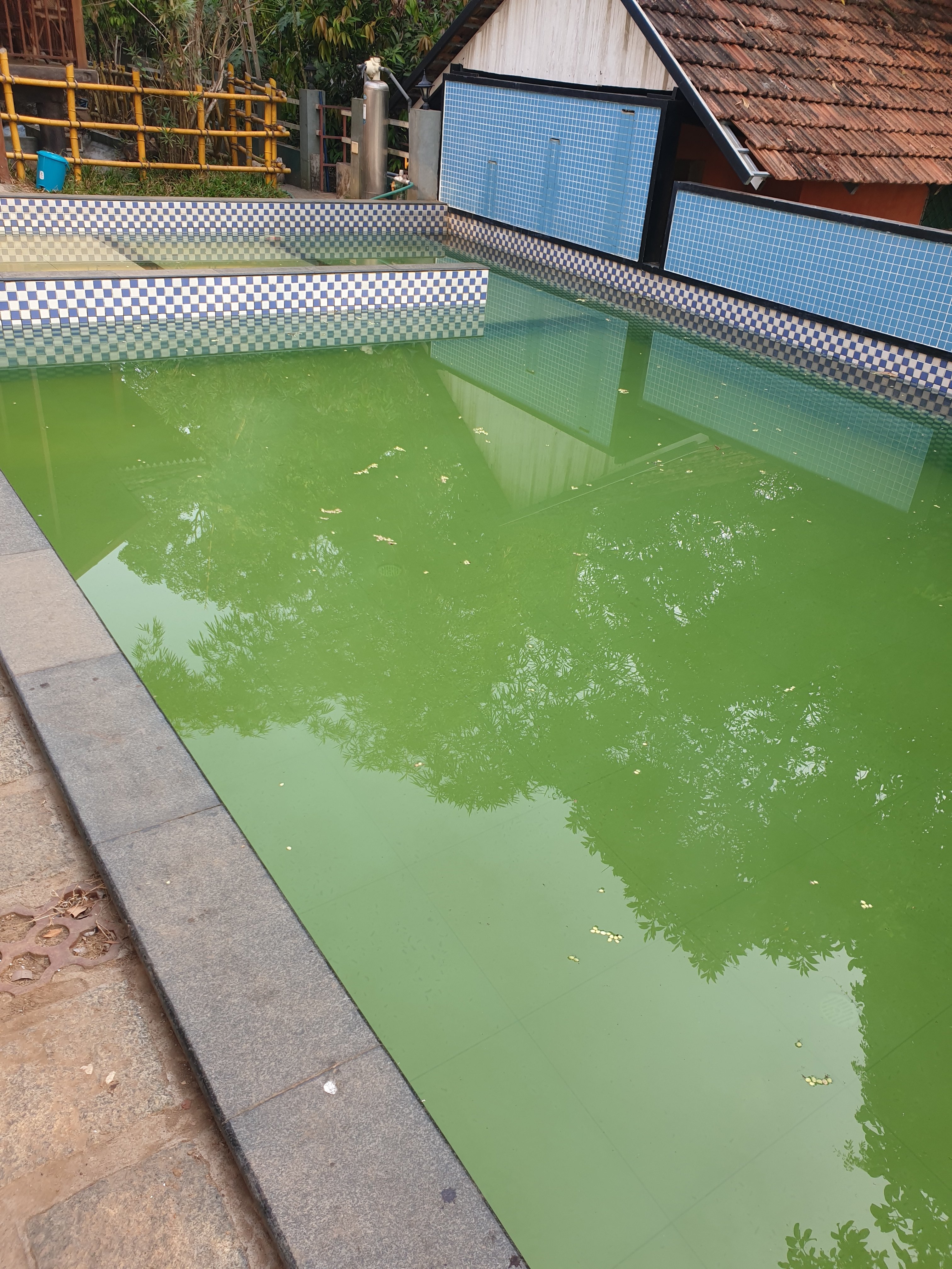 Pragathi Retreats Resort-官方