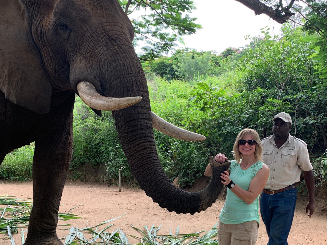 Go Touch Down Travel and Tours-萨拉索塔必去景点