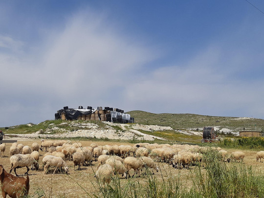 FAB Private Customized Tours, Cyprus-拉纳加必去景点