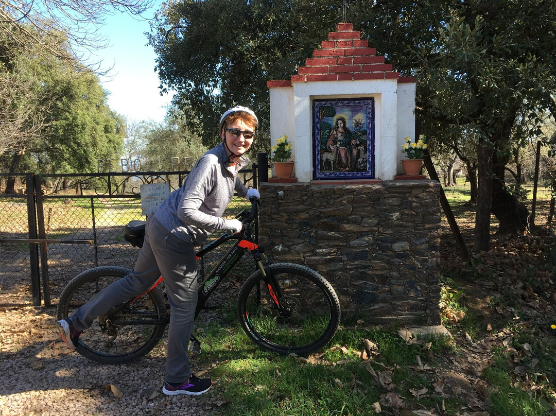 eBike Aracena-Sierra de Aracena and Picos de Aroche Natural Park必去景点